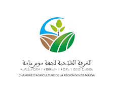 CARSM-removebg-preview