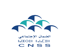 cnss-removebg-preview